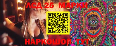 шишки Бузулук